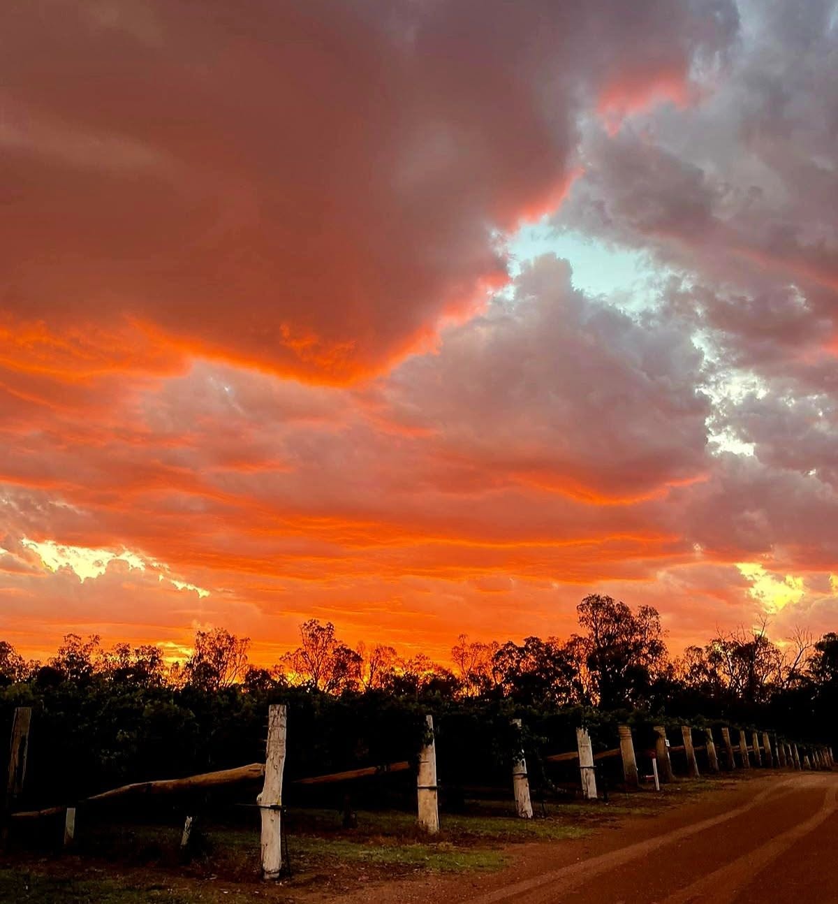 Fiery sunset over the Riversands Winery vineyard fence line, St George QLD