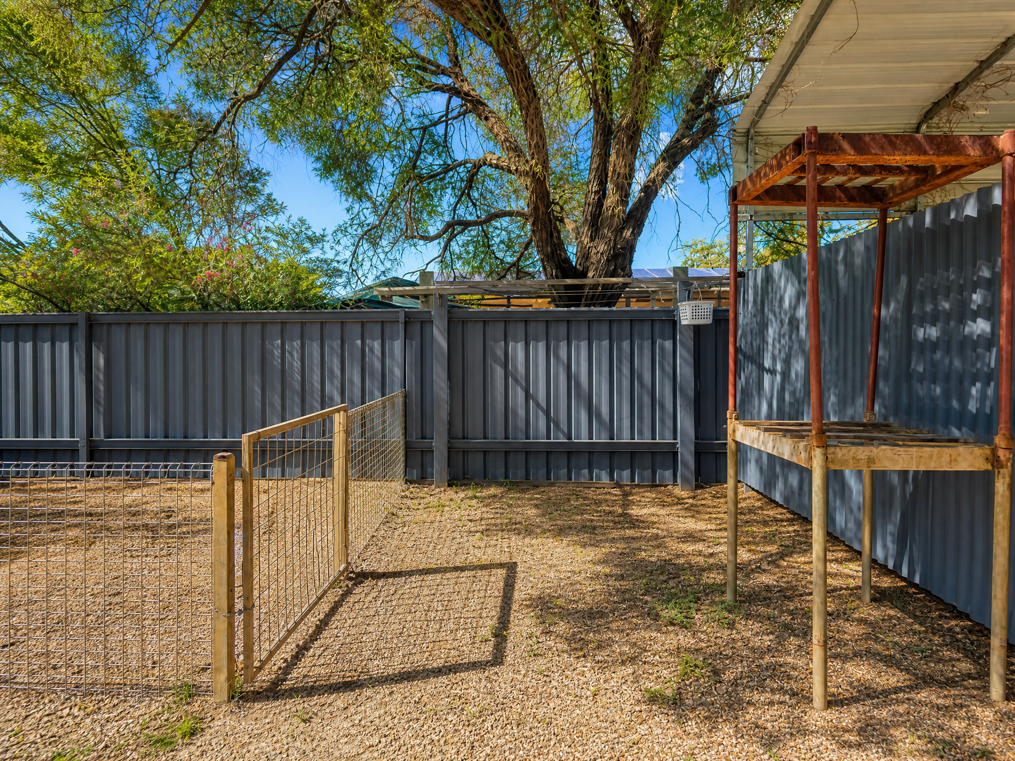 Secure rear yard and dog enclosure at Little Anchorage